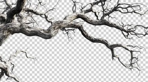 Dead tree trunk as element Stock Photos