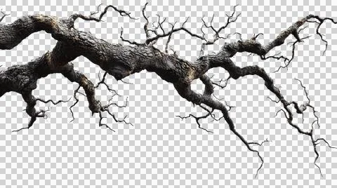 Dead tree trunk as element Stock Photos
