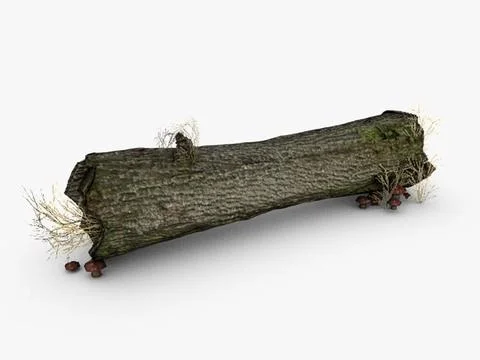 Dead tree trunk with mushrooms 3D Model