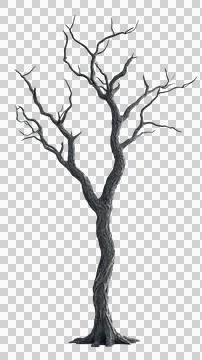 Dead tree trunk Stock Photos