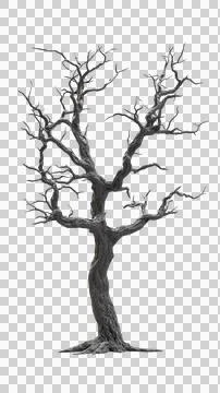 Dead tree trunk Stock Photos