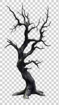 Dead tree trunk Stock Photos