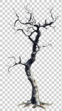Dead tree trunk Stock Photos
