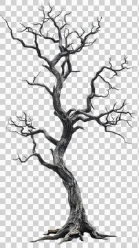 Dead tree trunk Stock Photos