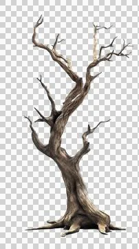 Dead tree trunk Stock Photos