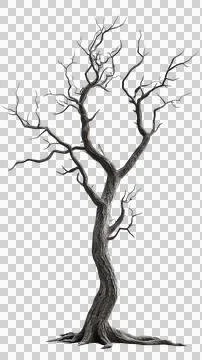 Dead tree trunk Stock Photos