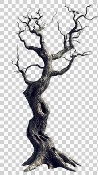 Dead tree trunk Stock Photos