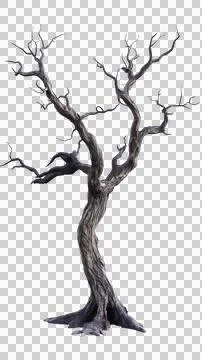 Dead tree trunk Stock Photos