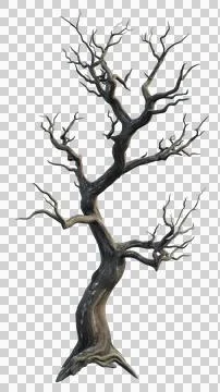 Dead tree trunk Stock Photos