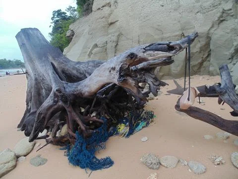 Dead tree trunk on tropical beach in sitapur, andaman, india Foto stock