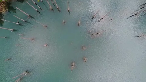 Dead tree trunks protruding from turquoise glacial water at Kaindy Lake Stock Footage 345410340