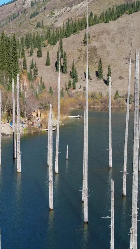 Dead tree trunks rising from Kaindy lake water surface, Kazakhstan Stock Footage 340847253