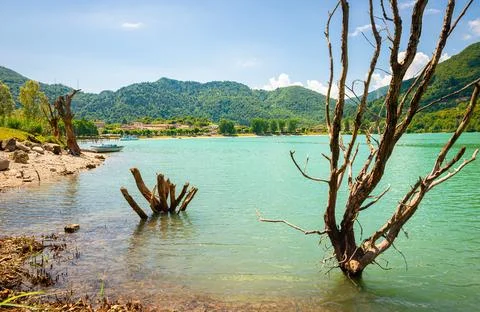 Dead tree trunks in turquoise mountain lake Lago d'Idro, Italy. Stock Photos