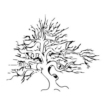 Dead Tree without Leaves Vector Illustration Sketched Stock Illustration