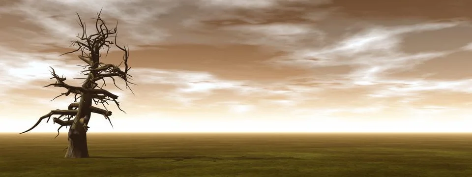 Dead trees - 3D render Stock Illustration