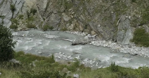 Dead trees in a alpine white river flowing in a mountain canyon Видео 256240519