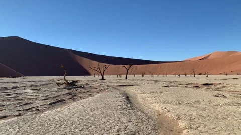 Dead trees on a clay plateau in the Dunes of Deadvlei Stock Footage 195108297