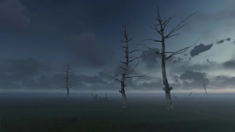 Dead Trees Stock Footage 90947817