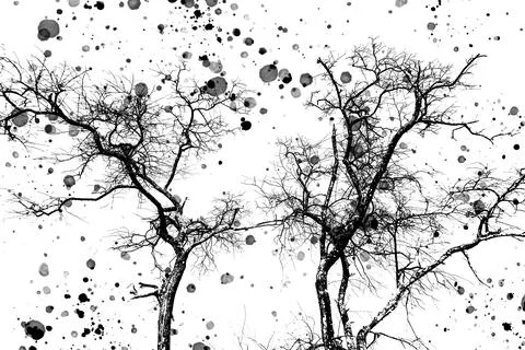 Dead trees Stock Illustration