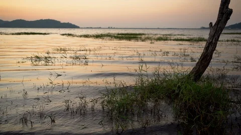 Dead trees in the lake Stock Footage 120326913