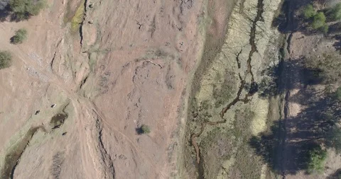 Dead trees litter dry river bed in vertical aerial shot of African dry season Stock Footage 95914472