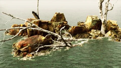 Dead trees on the Pacific ocean rocks in fog Illustrazione stock