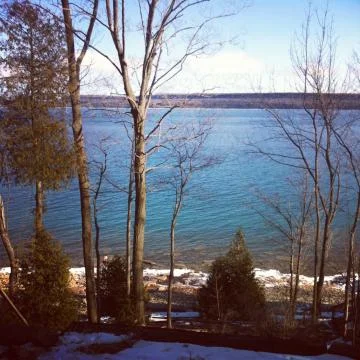 Dead Trees Foto stock