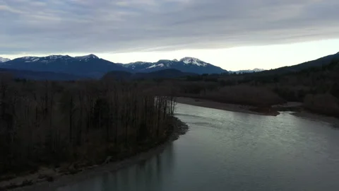 Dead Trees River Towards Mountain 4k 30fps 库存影片 144738330