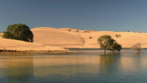 Dead Trees Standing in Low Water Drought Reservoir California Stock Footage 80913329