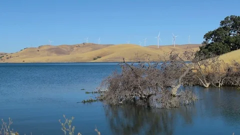 Dead Trees Standing in Low Water Drought Reservoir California Stock Footage 80916710