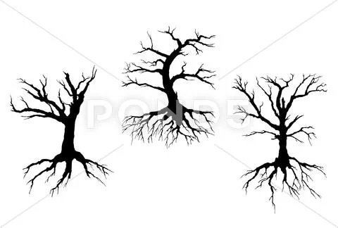 Dead trees with stem and roots Stock Illustration