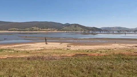 Dead trees in the waters of the Hume Dam on the Murray River, Victoria Stock Footage 312062879