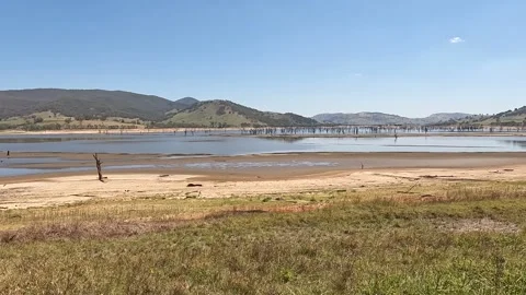 Dead trees in the waters of the Hume Dam on the Murray River, Victoria Stock Footage 312062896