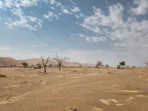 Dead trees on the way to Hidden Vlei at Sossusvlei, Namib Naukluft national.. Stock Photos