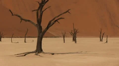 Dead valley (2) Stock Footage 12146465