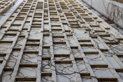 Dead vines concrete wall Stock Photos