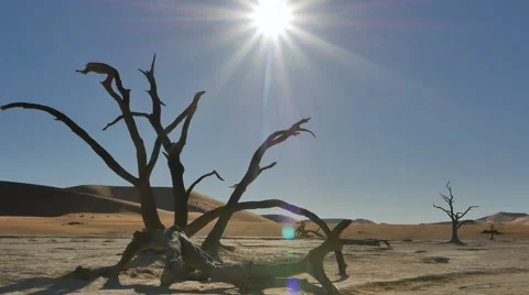 Dead vlei dried up lake pan namibia Stock Footage