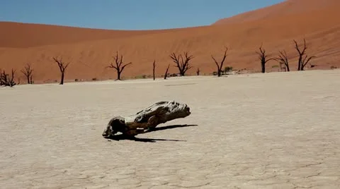 Dead vlei namibia Stock Footage 12501169