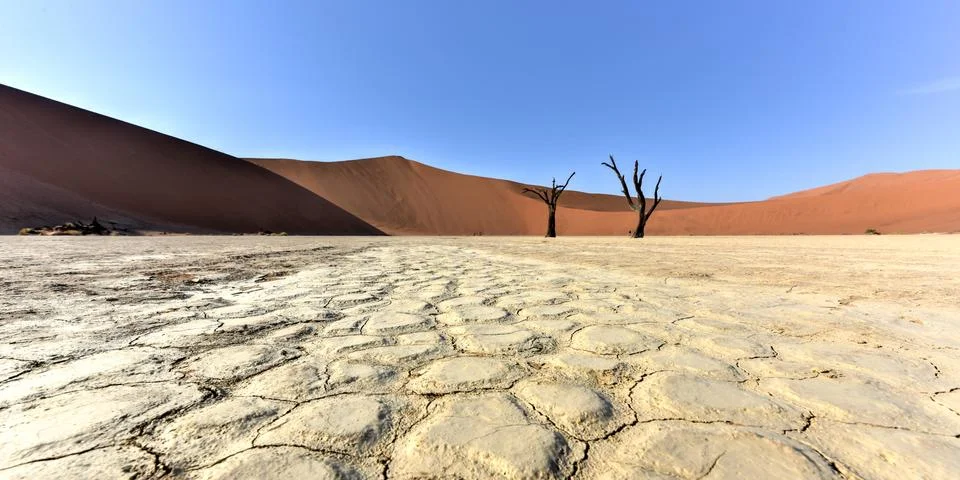 Dead Vlei, Namibia Stock Photos