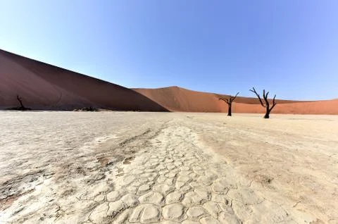 Dead Vlei, Namibia Stock Photos