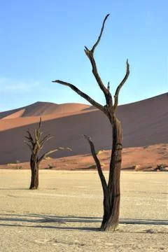Dead Vlei, Namibia Stock Photos