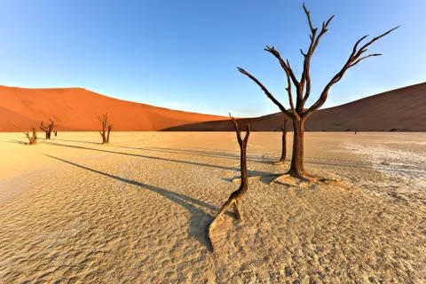 Dead Vlei, Namibia Stock Photos