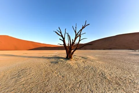 Dead Vlei, Namibia Stock Photos