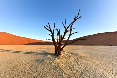 Dead Vlei, Namibia Stock Photos