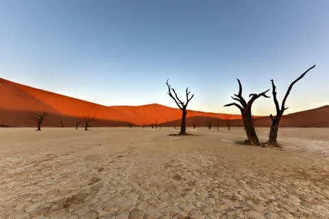 Dead Vlei, Namibia Stock Photos