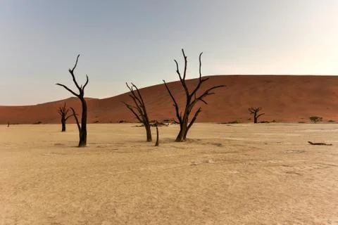 Dead Vlei, Namibia Stock Photos