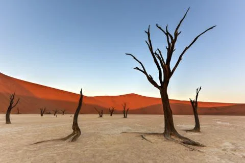 Dead Vlei, Namibia Stock Photos