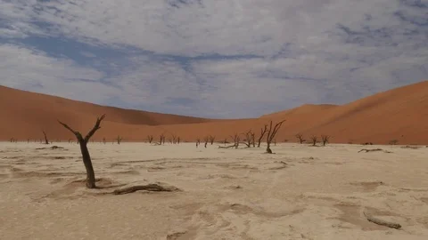 Dead Vlei Namibia Wide Shot Stock Footage 74360496