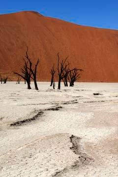 Dead Vlei - Sossusvlei - Namibia Stock Photos