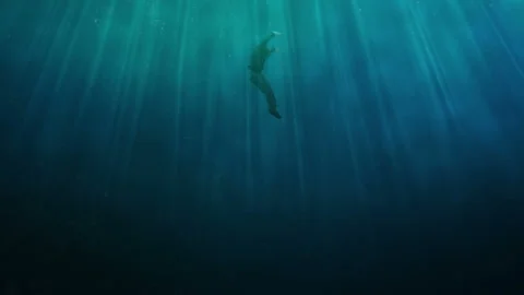 Dead in water. Stock-Footage 119978058